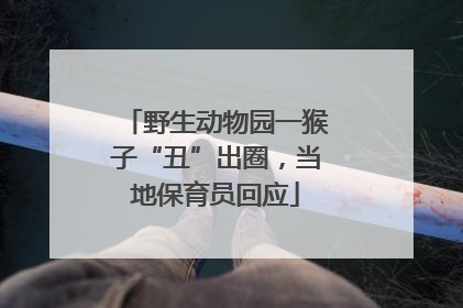 野生动物园一猴子“丑”出圈，当地保育员回应